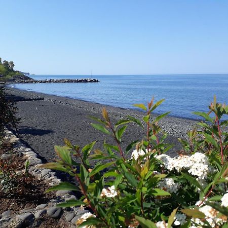 Pasa Tatil Koeyue Akcaabat Екстер'єр фото